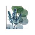 Icanvas Lilly Of Eucalyptus I By Albert Koetsier Canvas Print