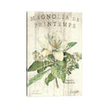 Icanvas Magnolia De Printemps By Sue Schlabach Canvas Print
