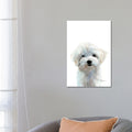 Icanvas Maltese Puppy By Watercolor Luv Gallery Wrapped Canvas Print