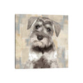 Icanvas Miniature Schnauzer By Keri Rodgers