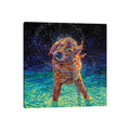 Icanvas Moonlight Swim By Iris Scott Canvas Print