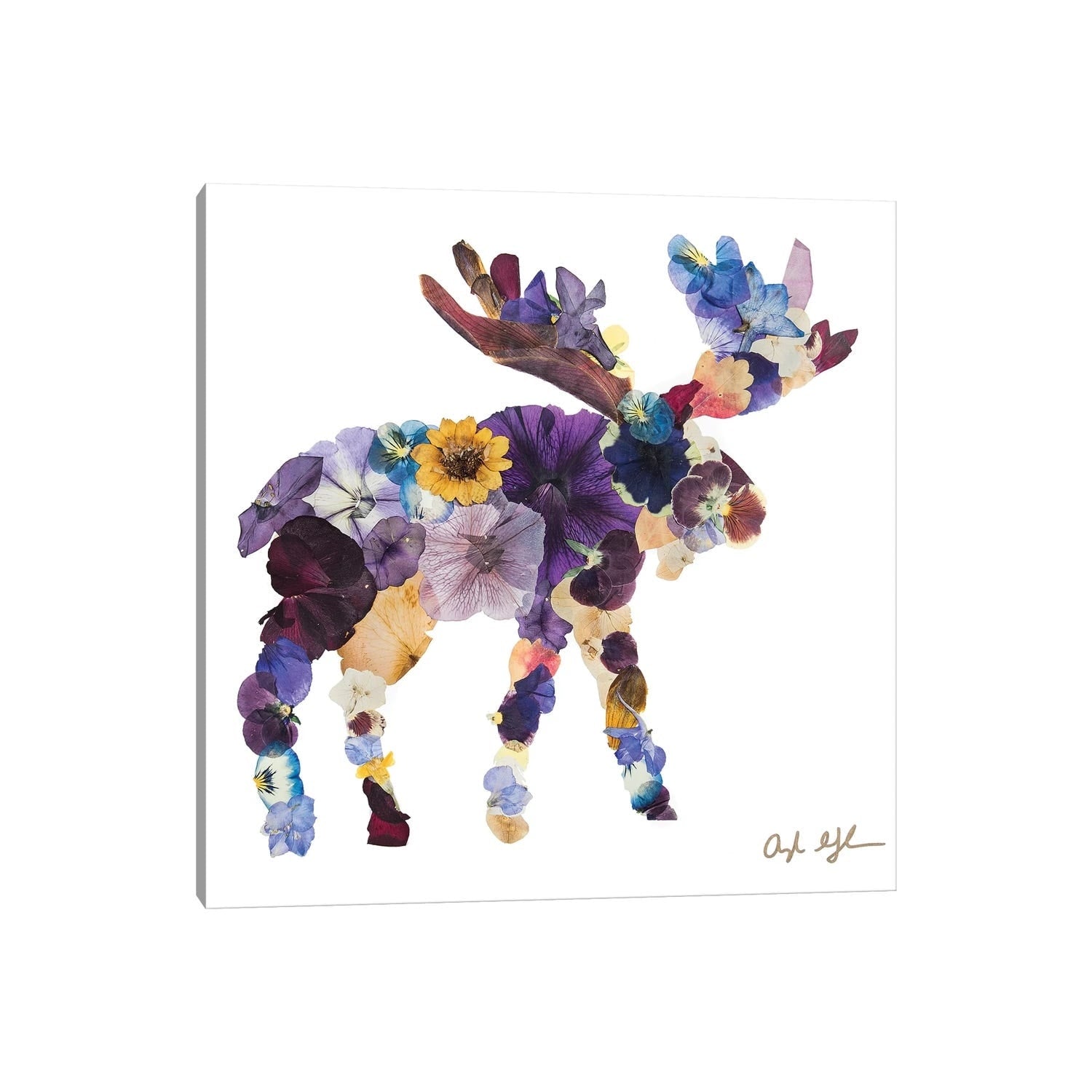 Icanvas Moose By Oxeye Floral Co