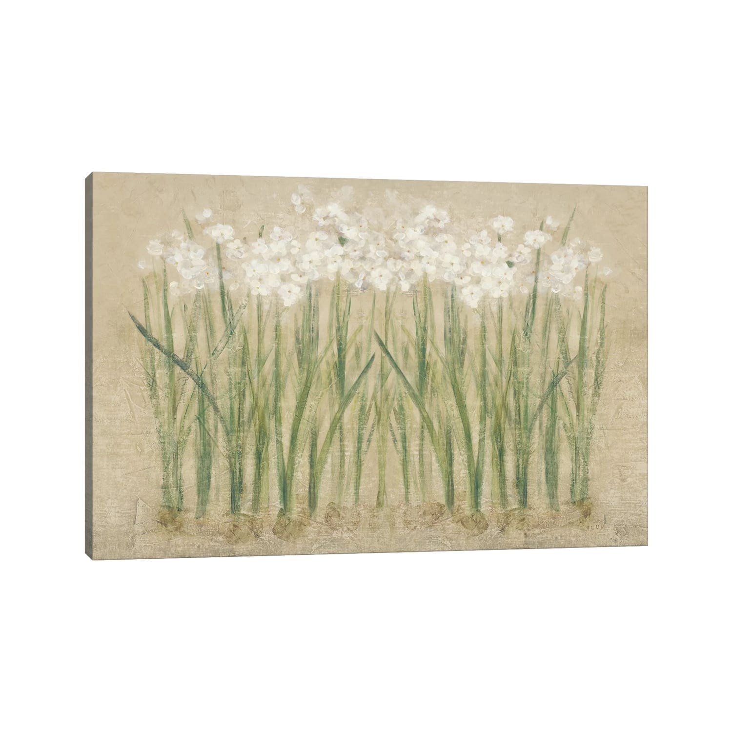 Icanvas Narcissus Cool By Cheri Blum Canvas Print