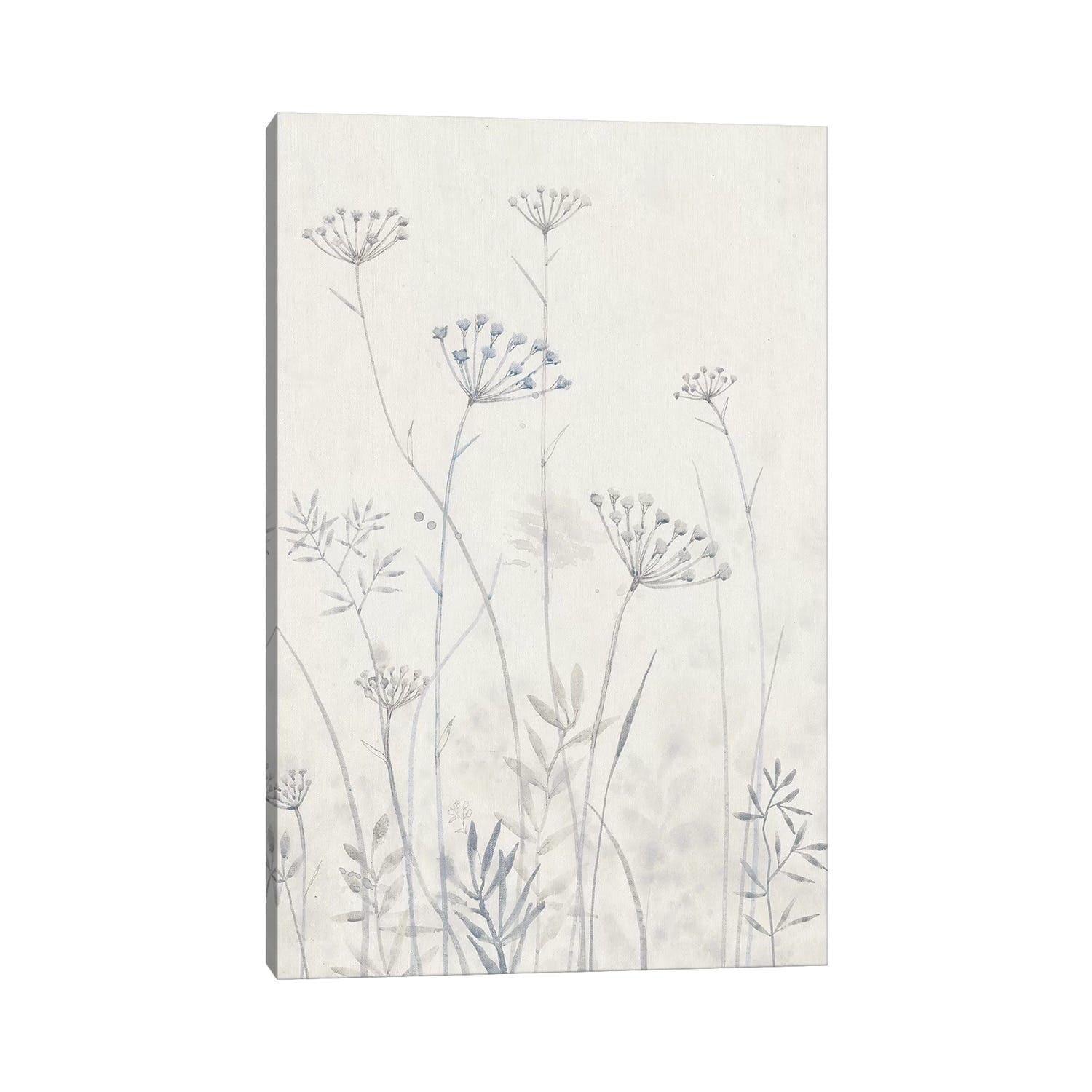 Icanvas Neutral Queen Annes Lace I By Tim Otoole