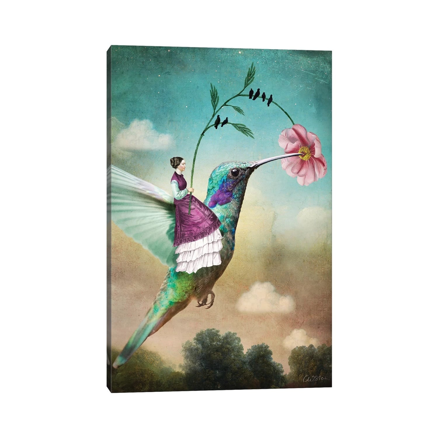 Icanvas Of Wands By Catrin Welz Stein Gallery Wrapped Canvas Print