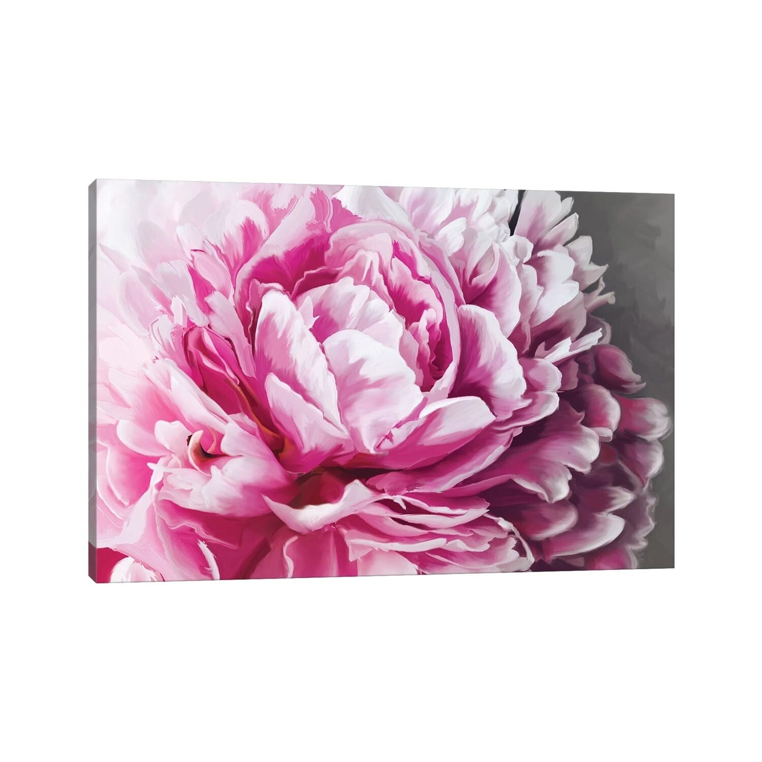 Icanvas Peony Blush By 5By5Collective Canvas Print