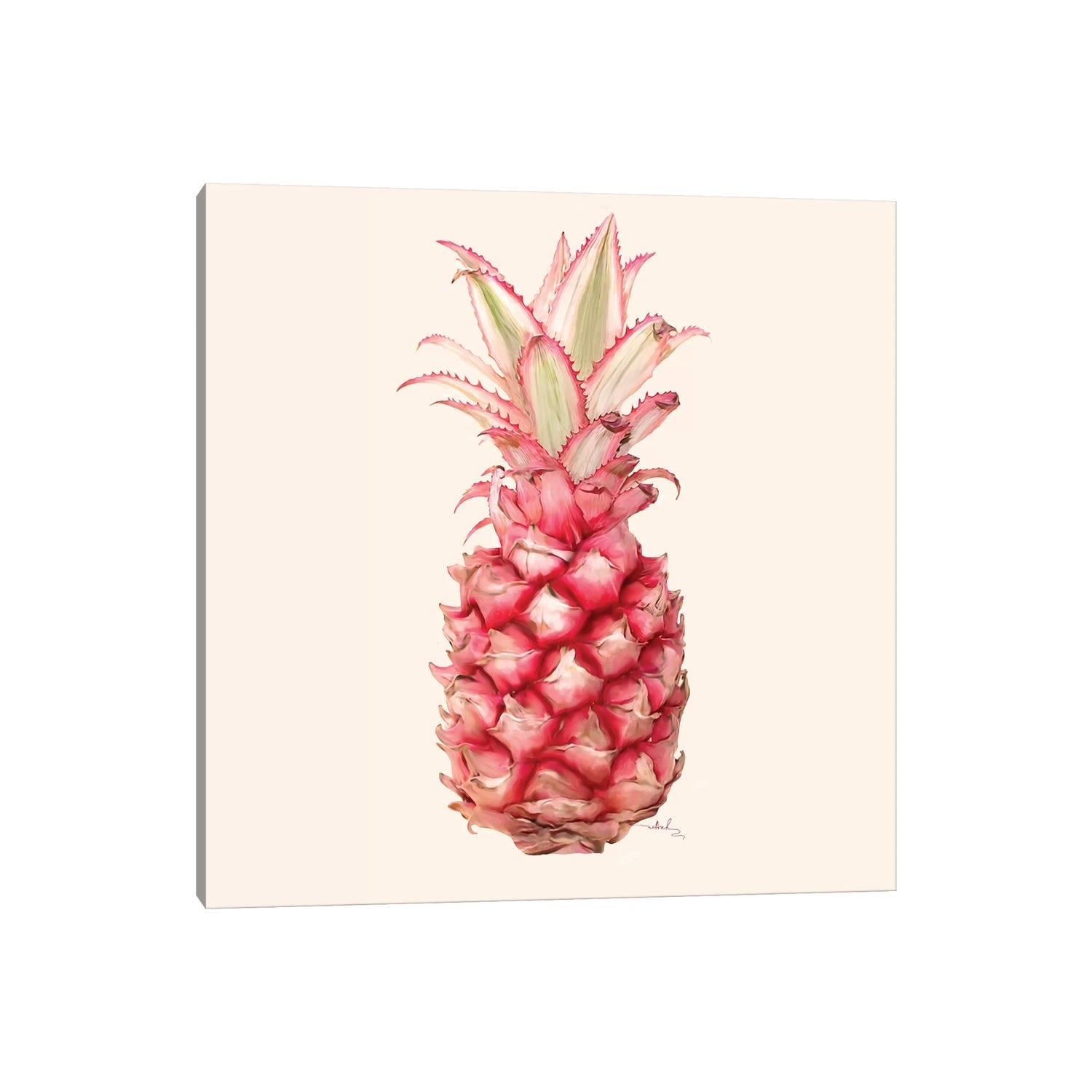 Icanvas Pina By Nettsch Canvas Print