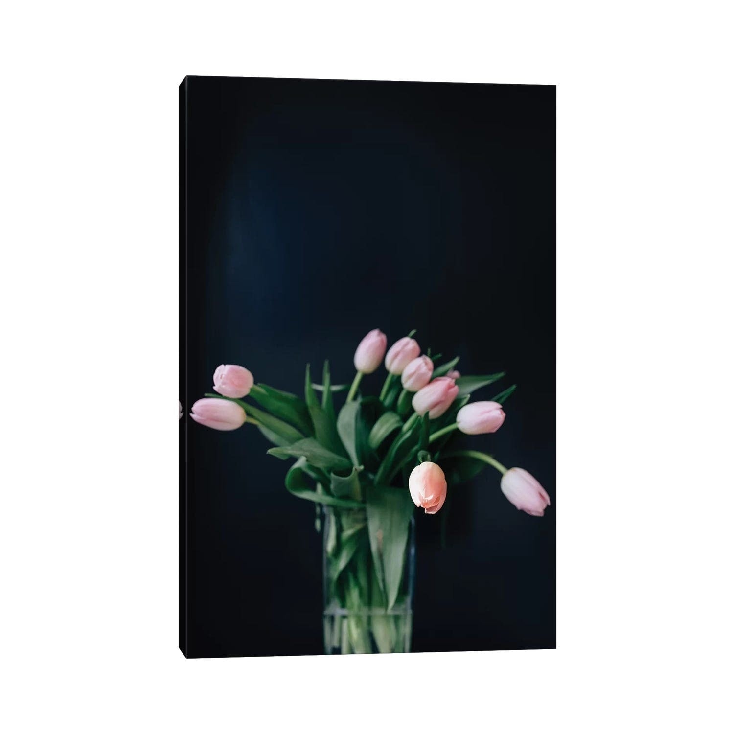 Icanvas Pink Tulips By Chelsea Victoria Canvas Print