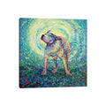 Icanvas Pitbull Shake By Iris Scott Canvas Print