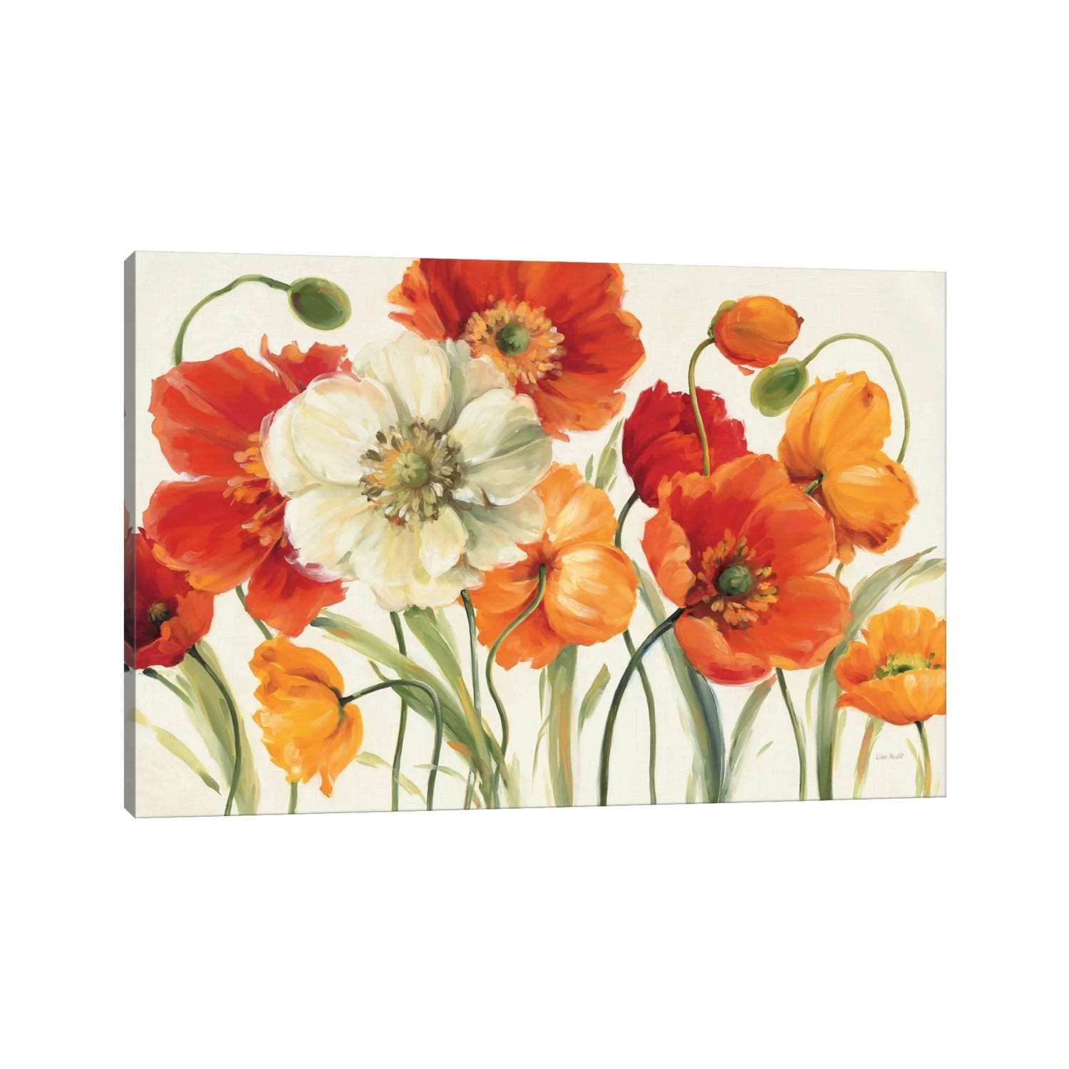 Icanvas Poppies Melody I By Lisa Audit Canvas Print