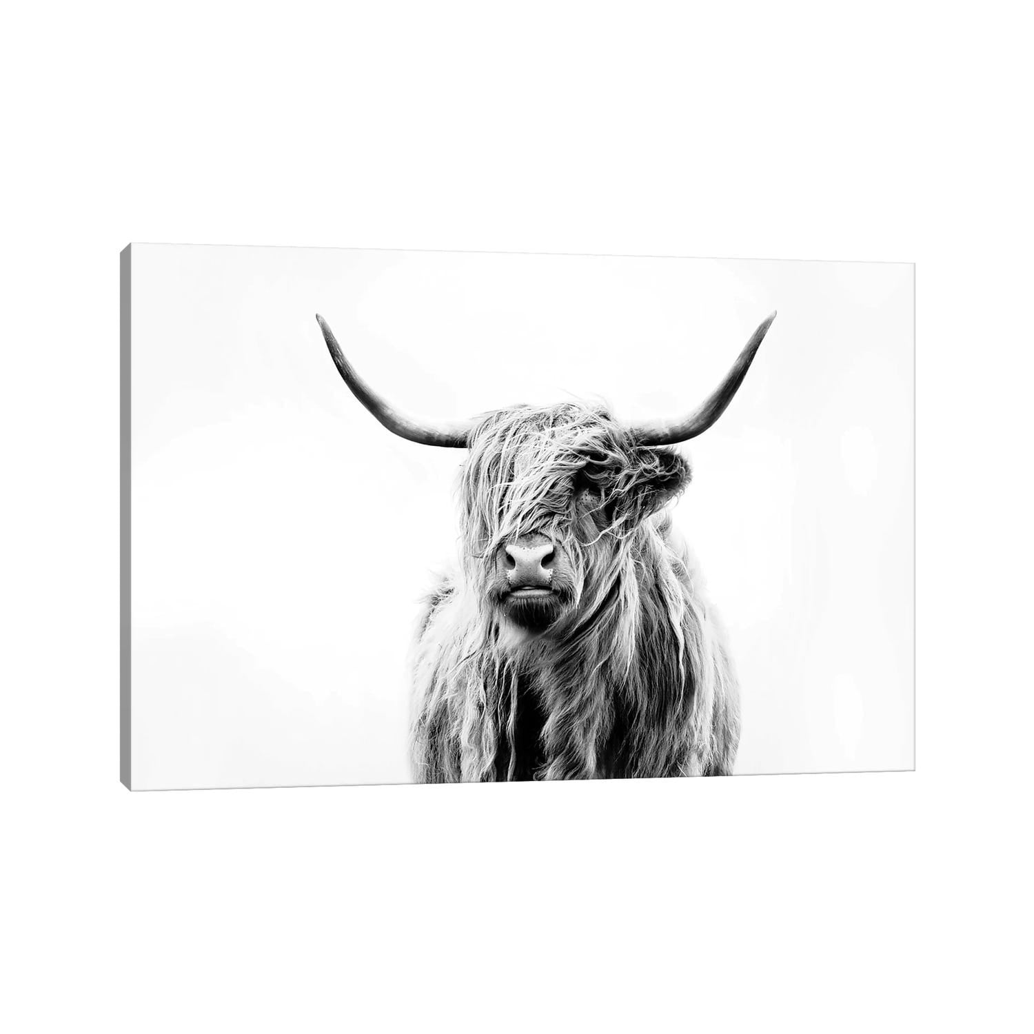 Icanvas Portrait Of A Highland Cow By Dorit Fuhg Canvas Print