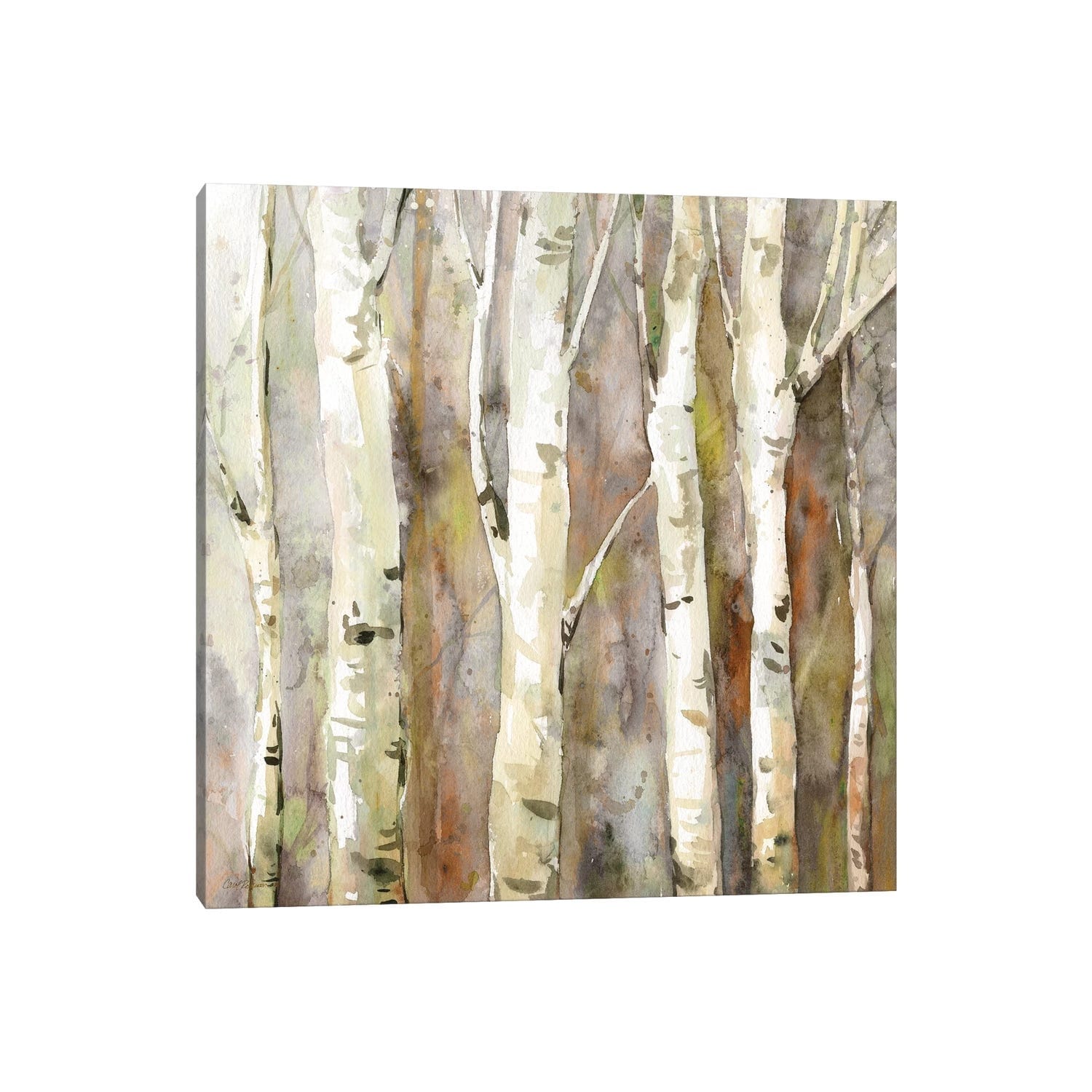 Icanvas Quiet Morning Ii By Carol Robinson Gallery Wrapped Canvas Print