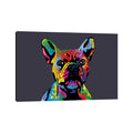 Icanvas Rainbow French Bulldog On Grey By Michael Tompsett Canvas Print