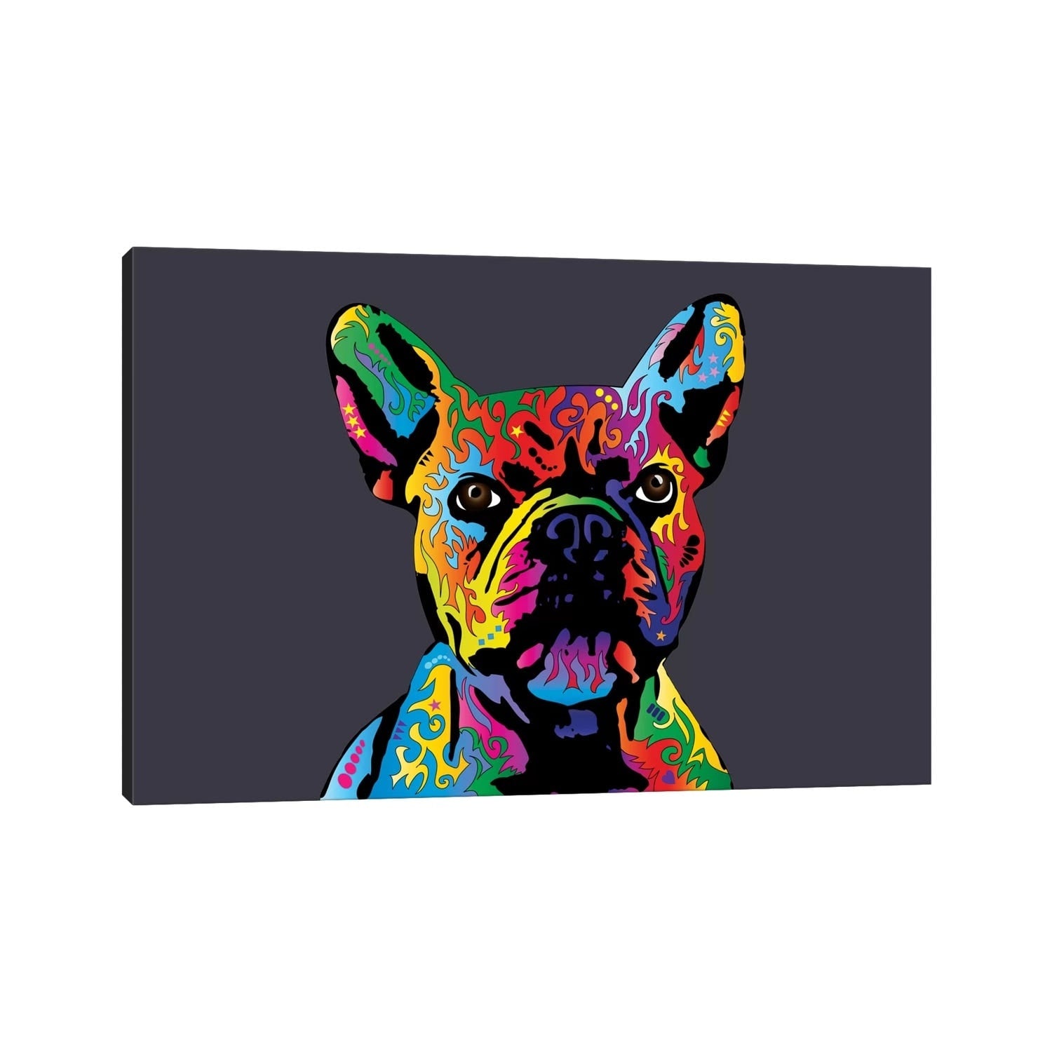 Icanvas Rainbow French Bulldog On Grey By Michael Tompsett Canvas Print