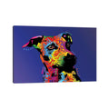 Icanvas Rainbow Jack Russell Terrier By Michael Tompsett Canvas Print