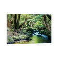 Icanvas River In The Tasmanian Rainforest By Matteo Colombo Canvas Print