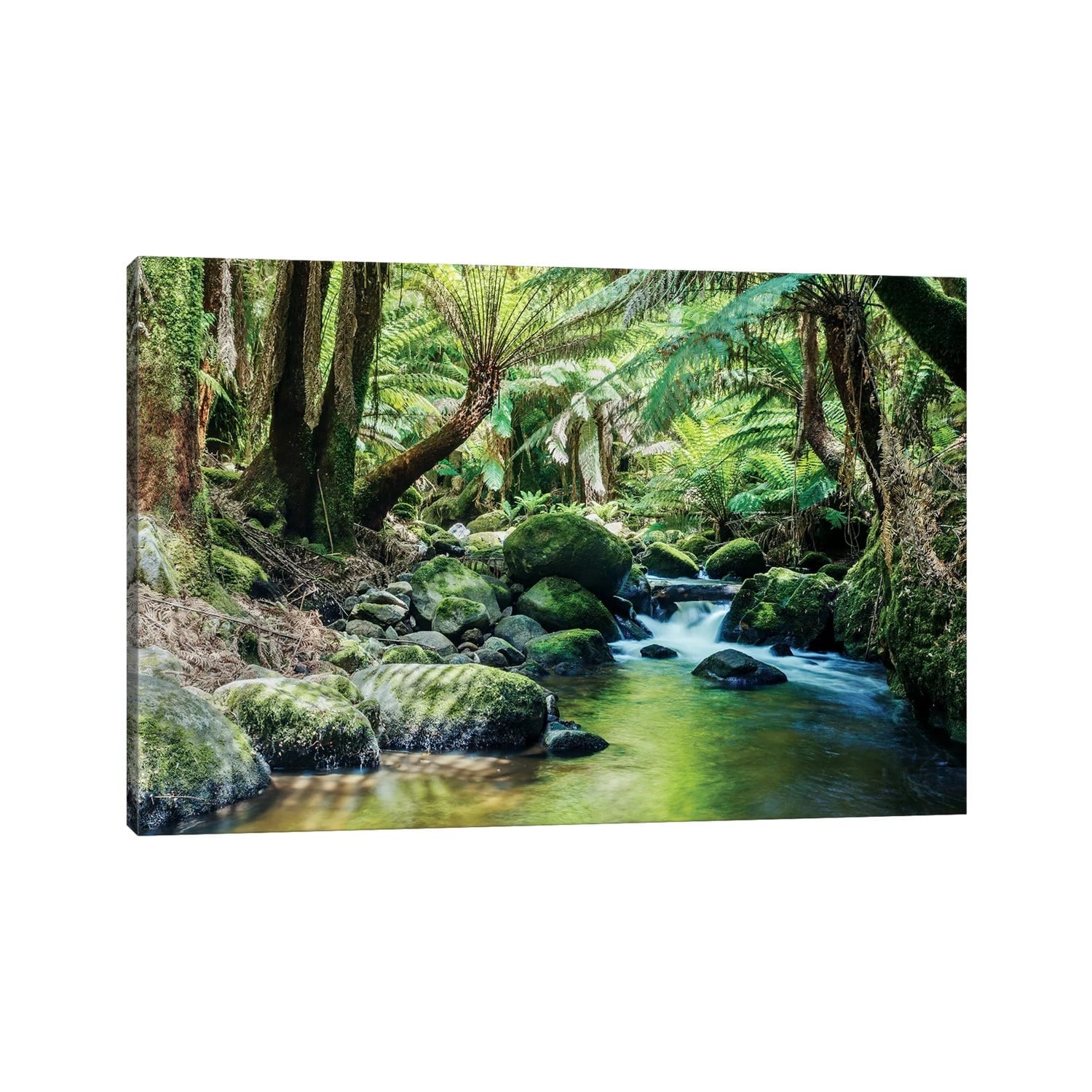 Icanvas River In The Tasmanian Rainforest By Matteo Colombo Canvas Print
