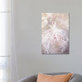 Icanvas Rose Dance Ii By Debi Coules