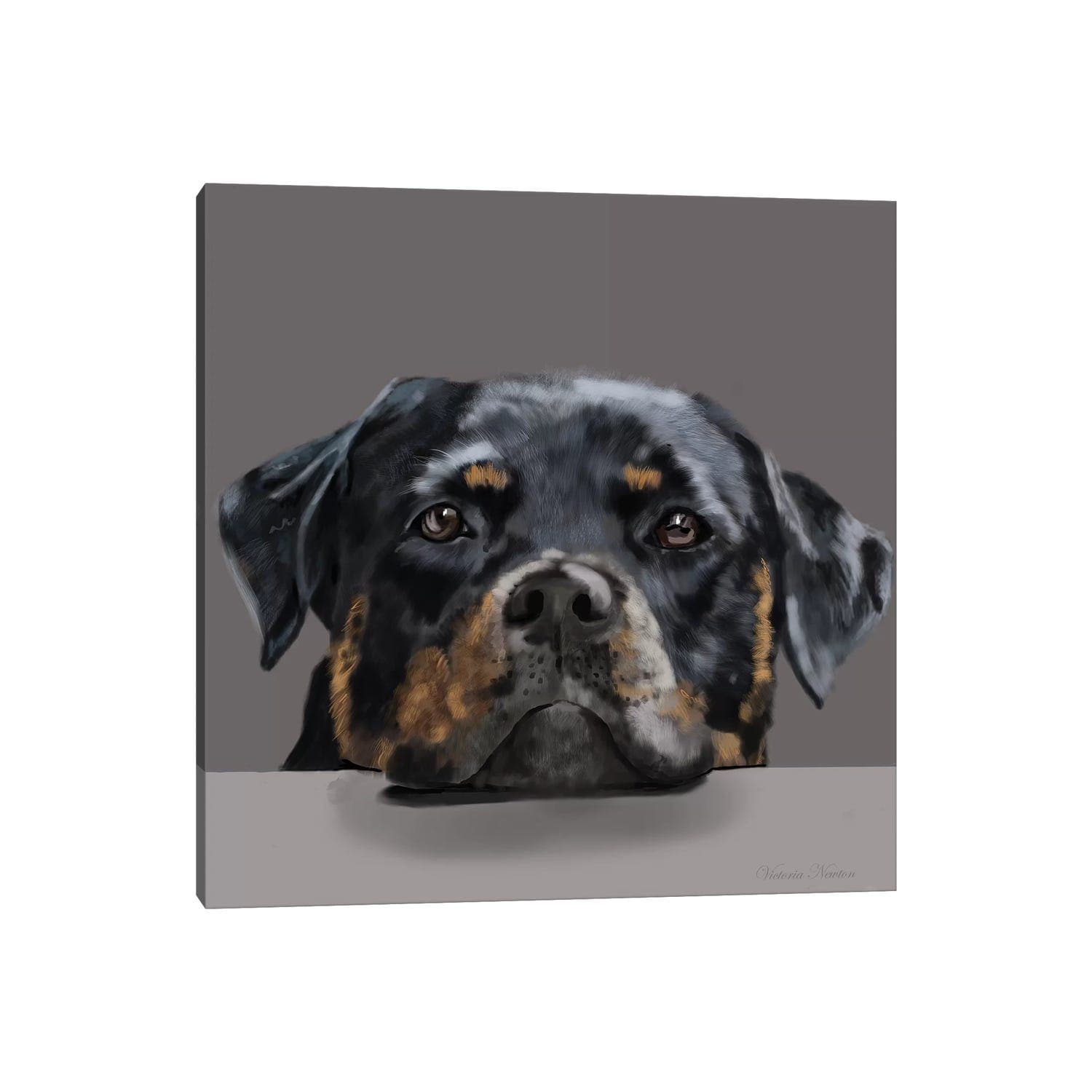 Icanvas Rotweiller By Vicki Newton