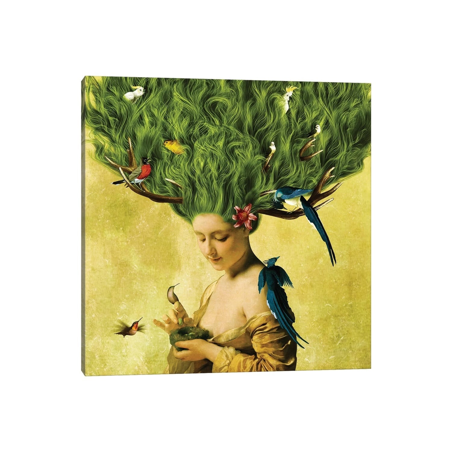 Icanvas Safe Haven By Diogo Verissimo Canvas Print