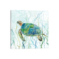 Icanvas Sea Turtle Swim Ii By Carol Robinson