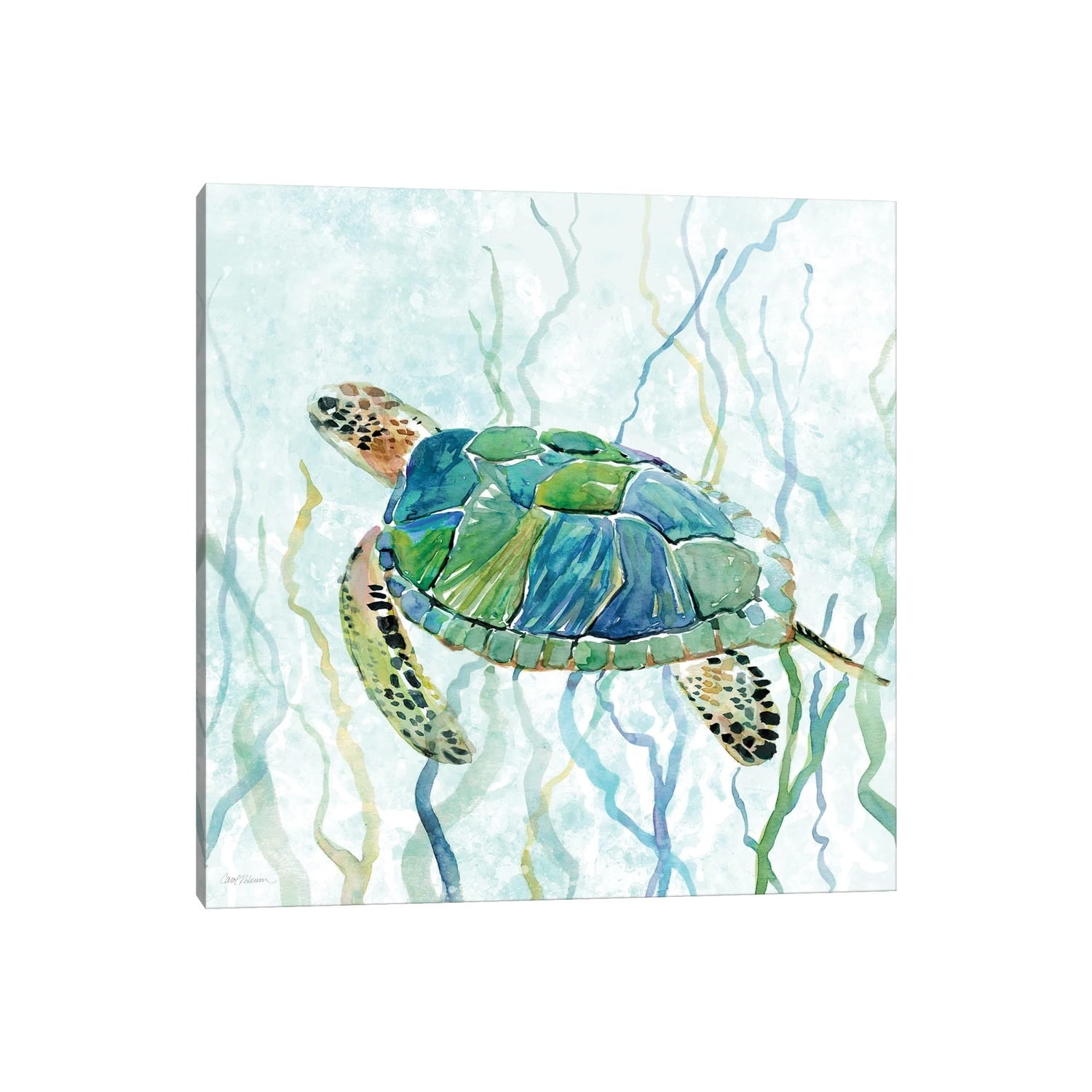 Icanvas Sea Turtle Swim Ii By Carol Robinson