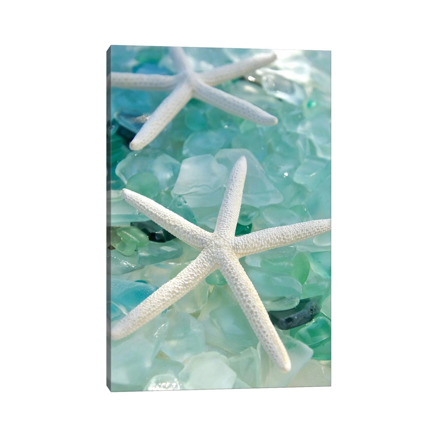 Icanvas Seaglass 1 By Alan Blaustein Canvas Print