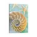 Icanvas Seaglass 2 By Alan Blaustein Canvas Print