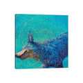 Icanvas Shaking Blue Heeler By Iris Scott