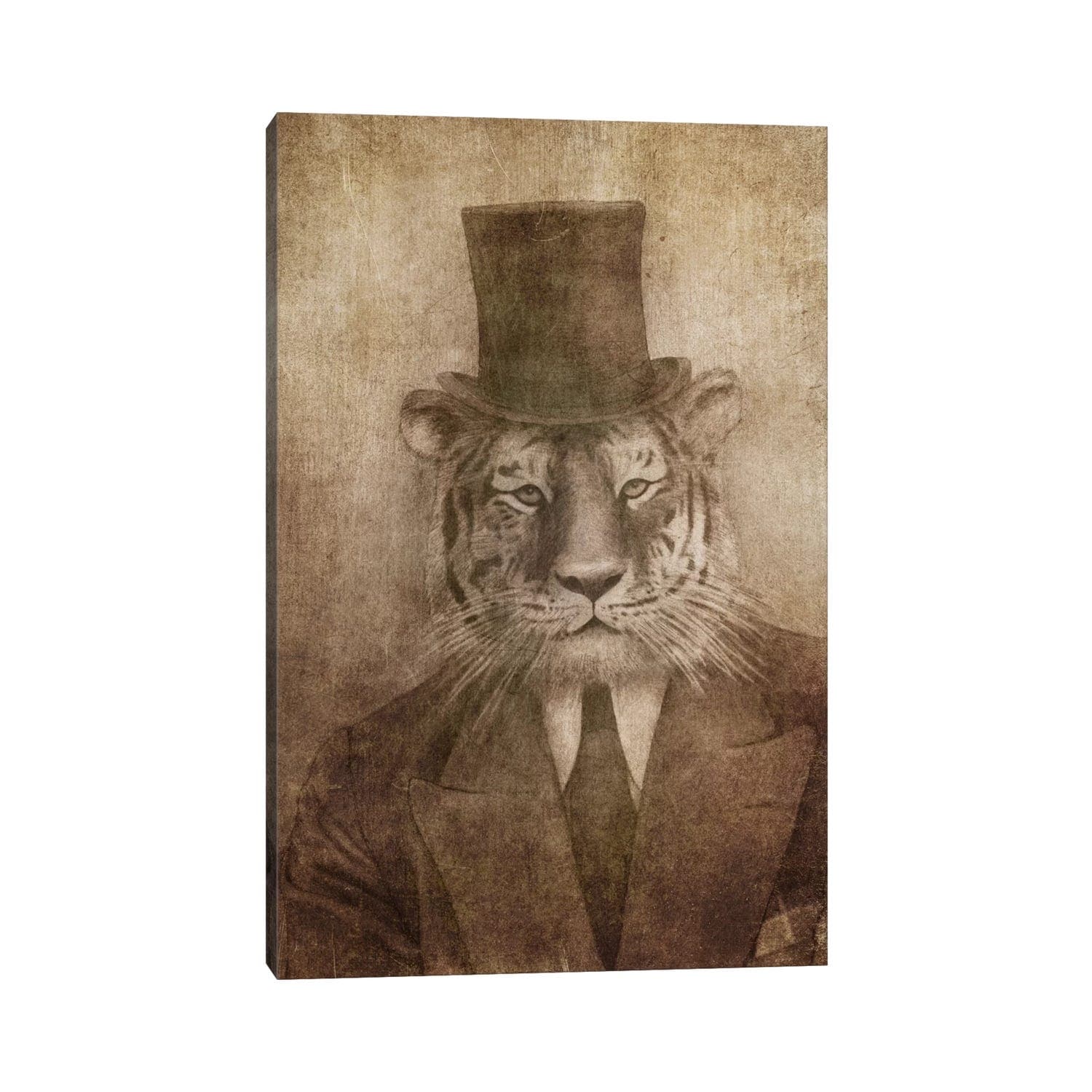 Icanvas Sir Tiger By Terry Fan Canvas Print