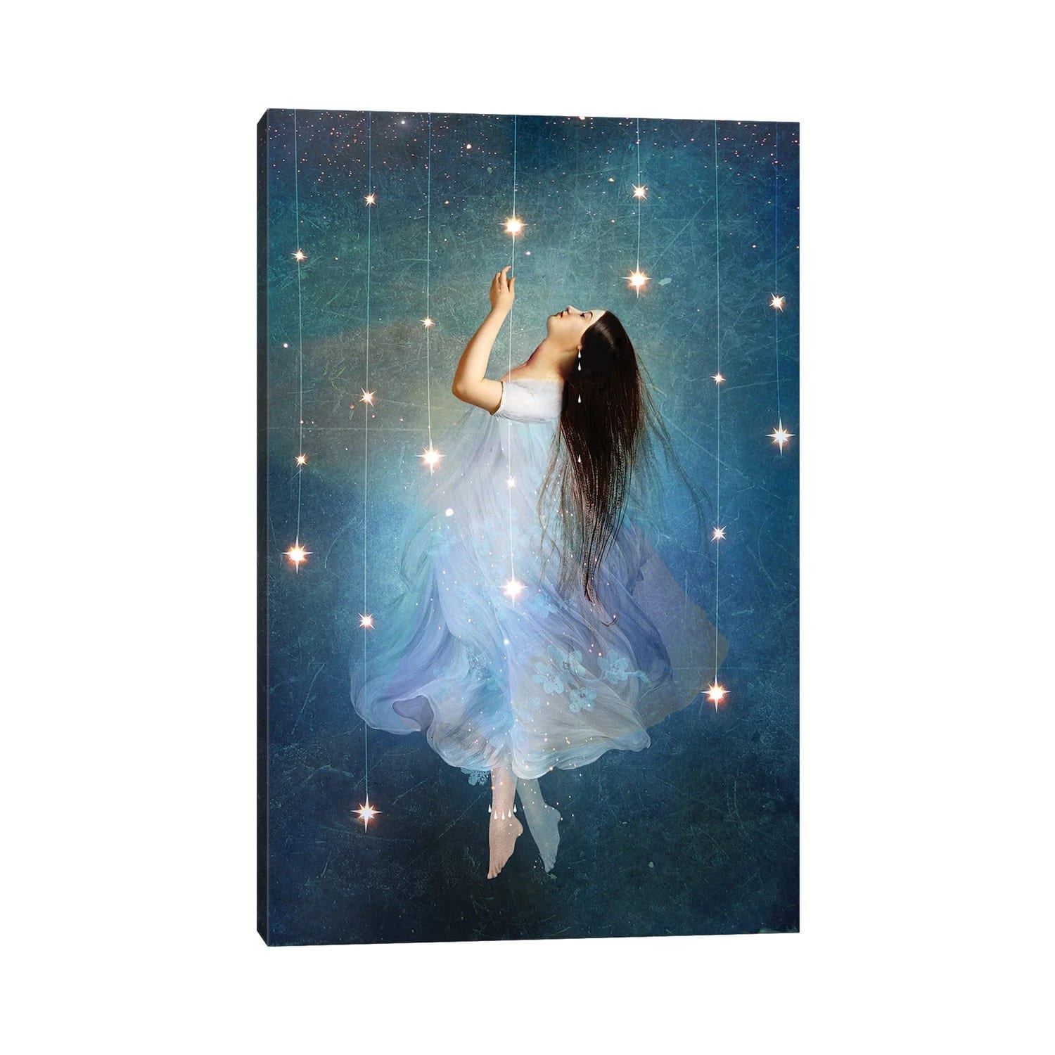 Icanvas Star Sailor By Catrin Welz Stein Canvas Print