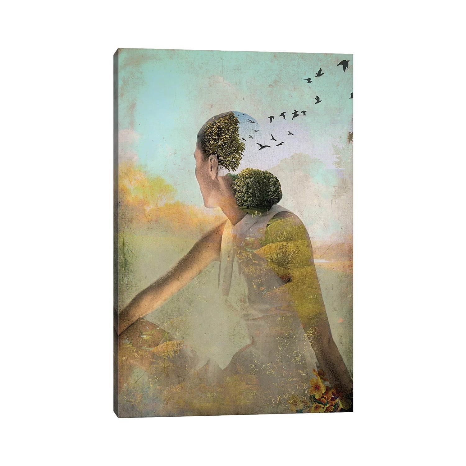 Icanvas Summer Deaming By Catrin Welz Stein Canvas Print