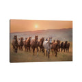 Icanvas Sunkissed Horses Ii By Ph Burchett