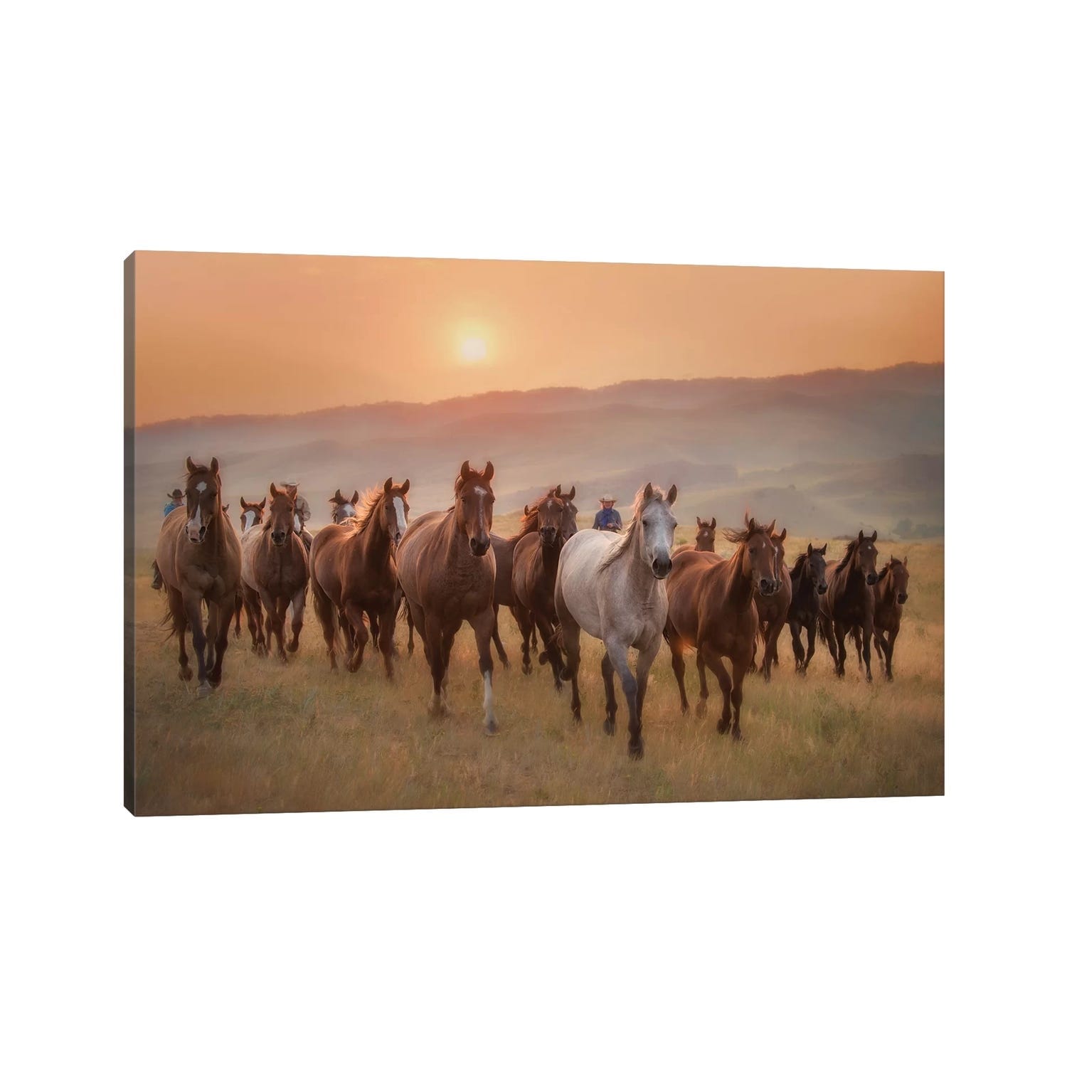 Icanvas Sunkissed Horses Ii By Ph Burchett