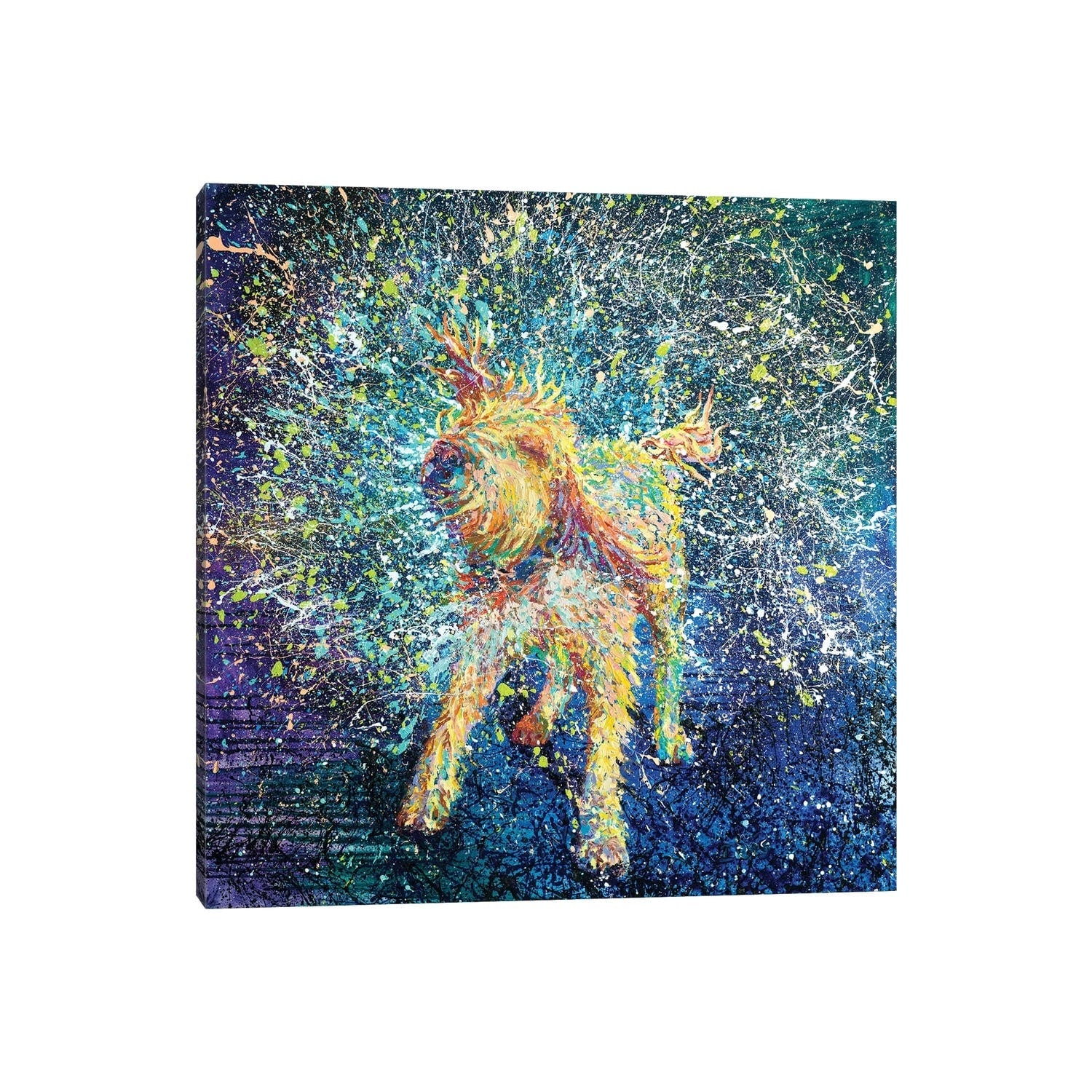 Icanvas Teroidal By Iris Scott