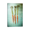 Icanvas Three Carrots By Olivia Joy Stclaire Canvas Print