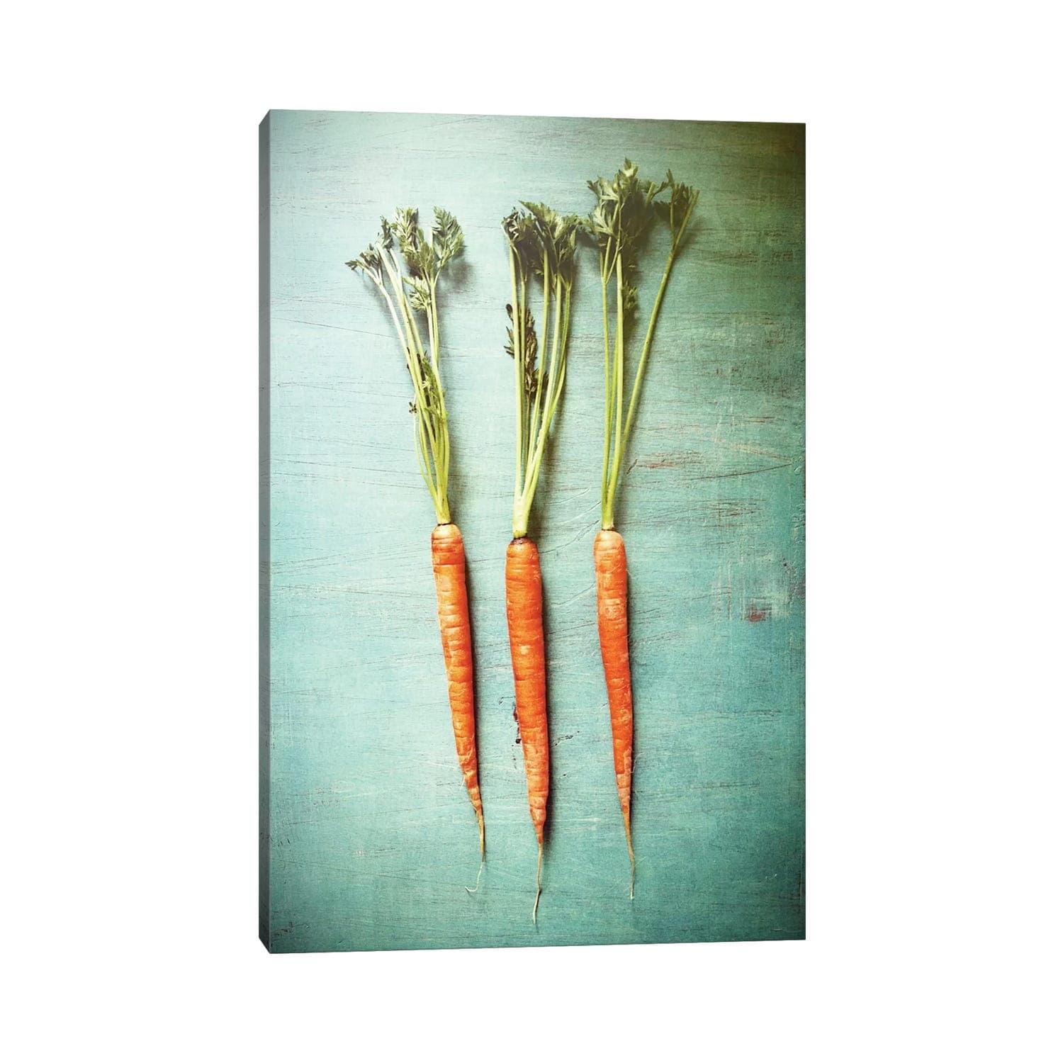 Icanvas Three Carrots By Olivia Joy Stclaire Canvas Print