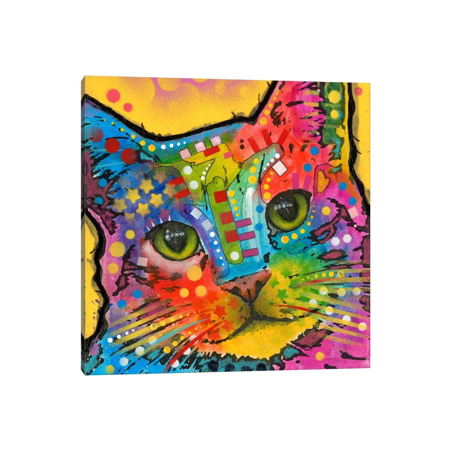 Icanvas Tilt Cat By Dean Russo Canvas Print