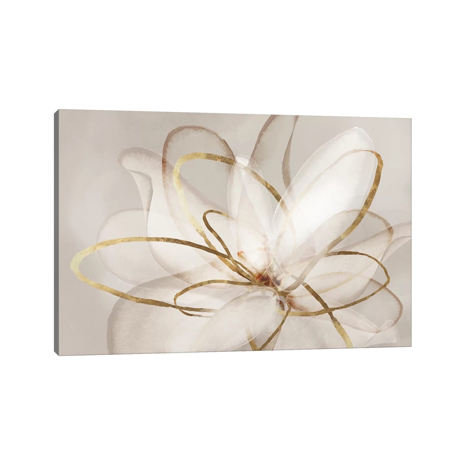 Icanvas Transparent Beauty Iii By Eva Watts