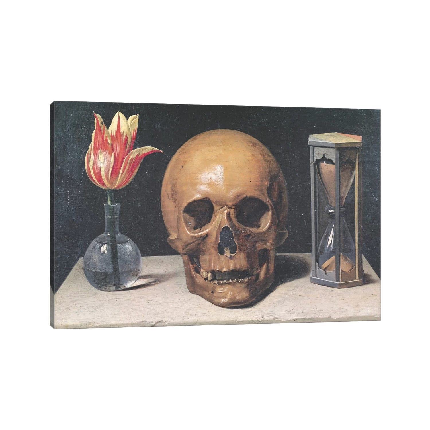 Icanvas Vanitas Still Life With A Tulip Skull And Hour Glass By Philippe De Champaigne Canvas Print