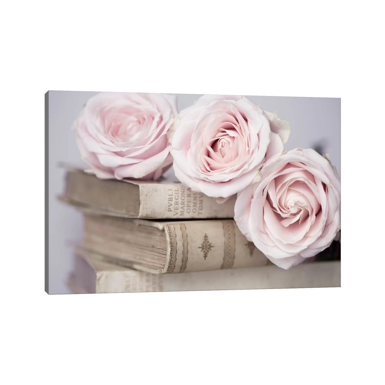 Icanvas Vintage Roses By Symposium Design Canvas Print