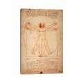 Icanvas Vitruvian Man C. 1490 By Leonardo Da Vinci Canvas Print