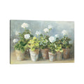 Icanvas White Geraniums By Danhui Nai Canvas Print
