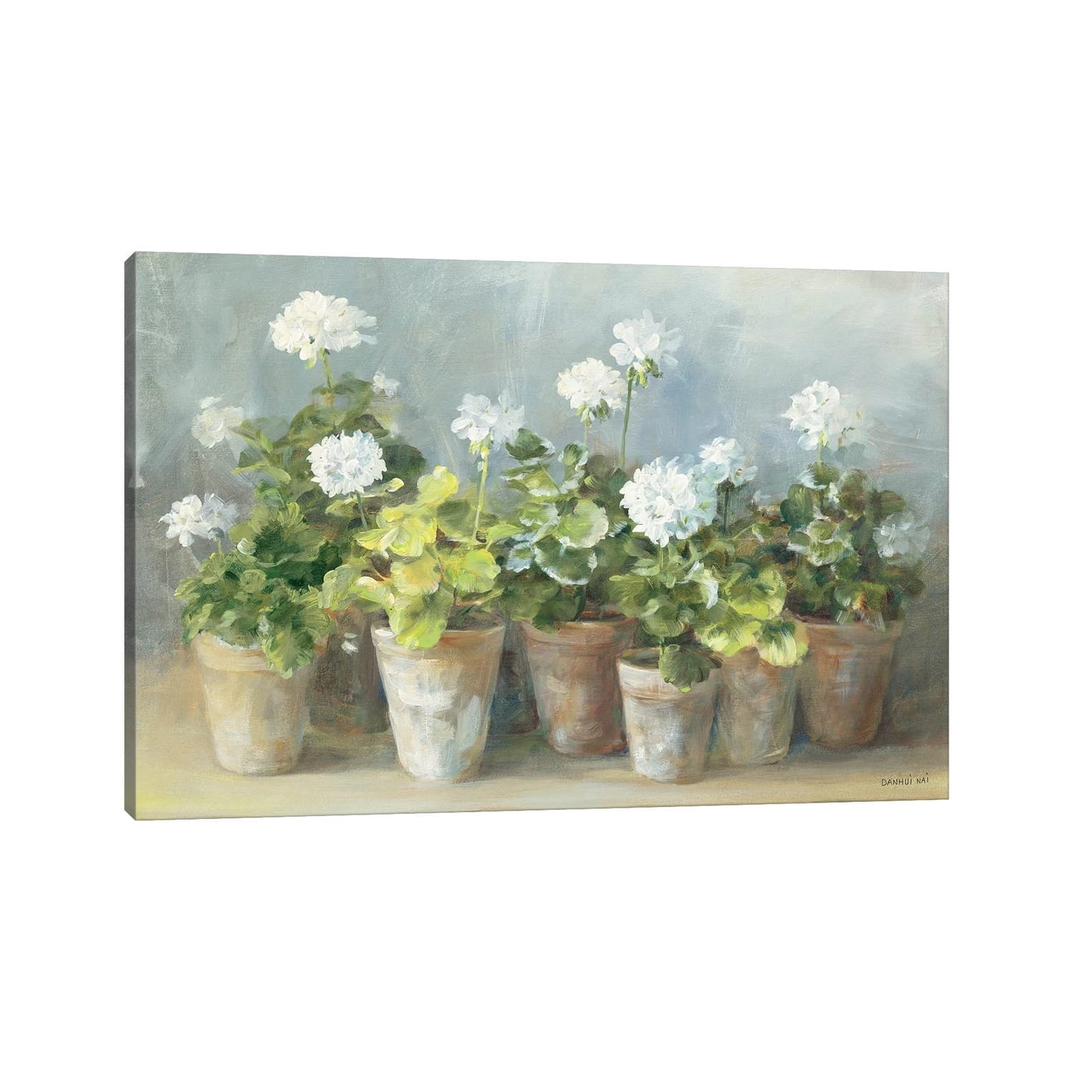 Icanvas White Geraniums By Danhui Nai Canvas Print