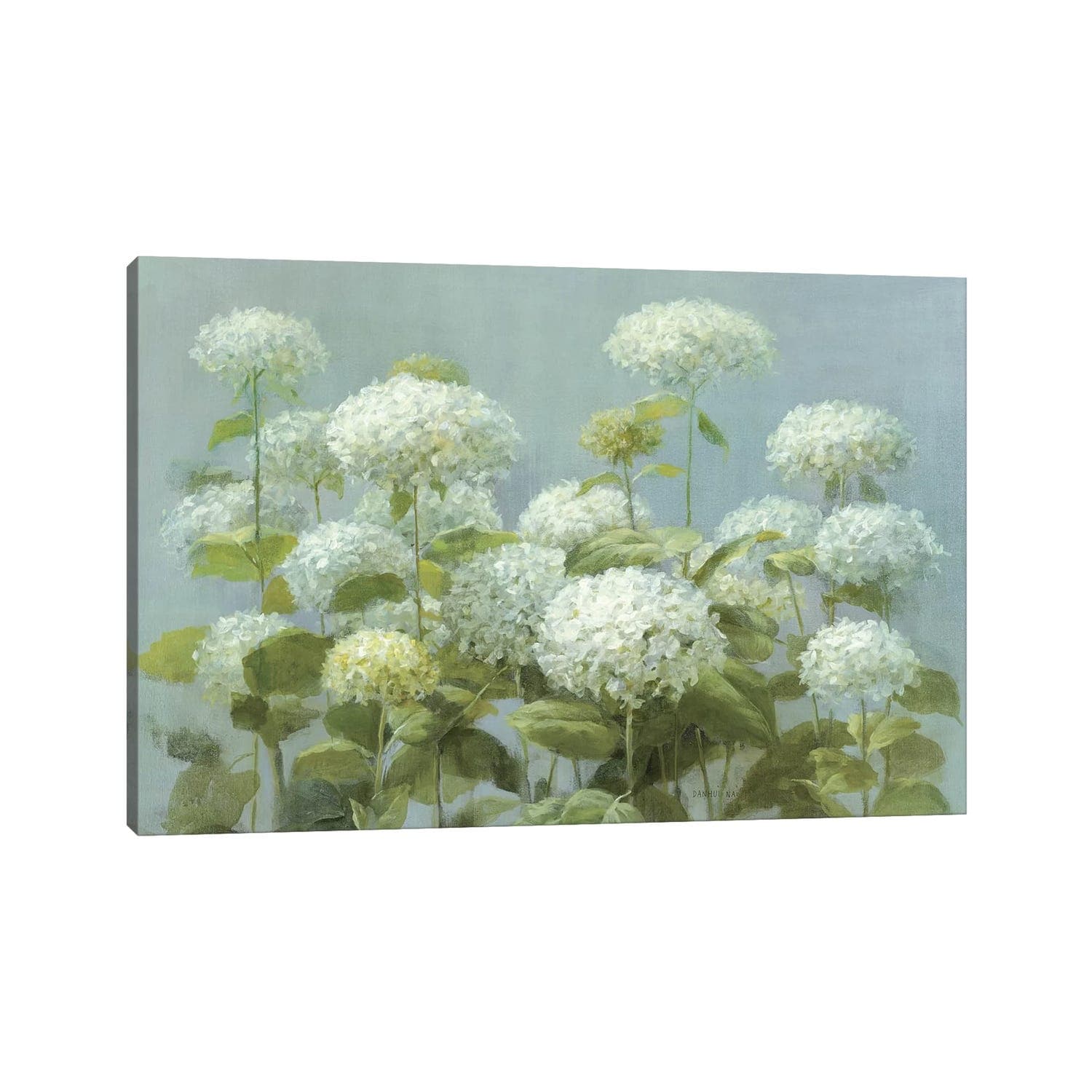 Icanvas White Hydrangea Garden By Danhui Nai Canvas Print