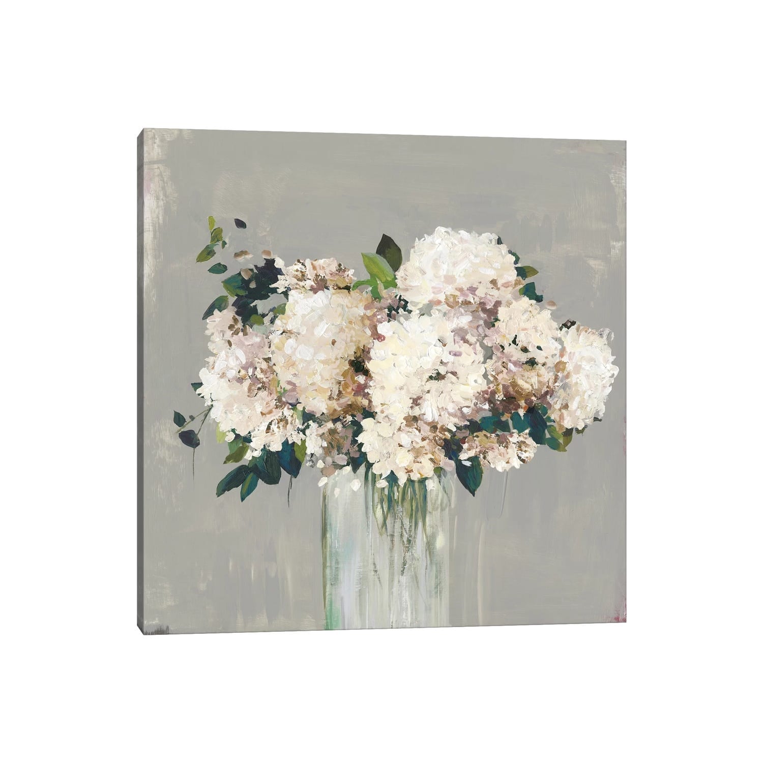 Icanvas White Hydrangea By Allison Pearce