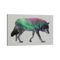 Icanvas Aurora Borealis Series Wolf By Andreas Lie Canvas Print