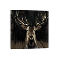 Icanvas Young Buck By Liz Jardine