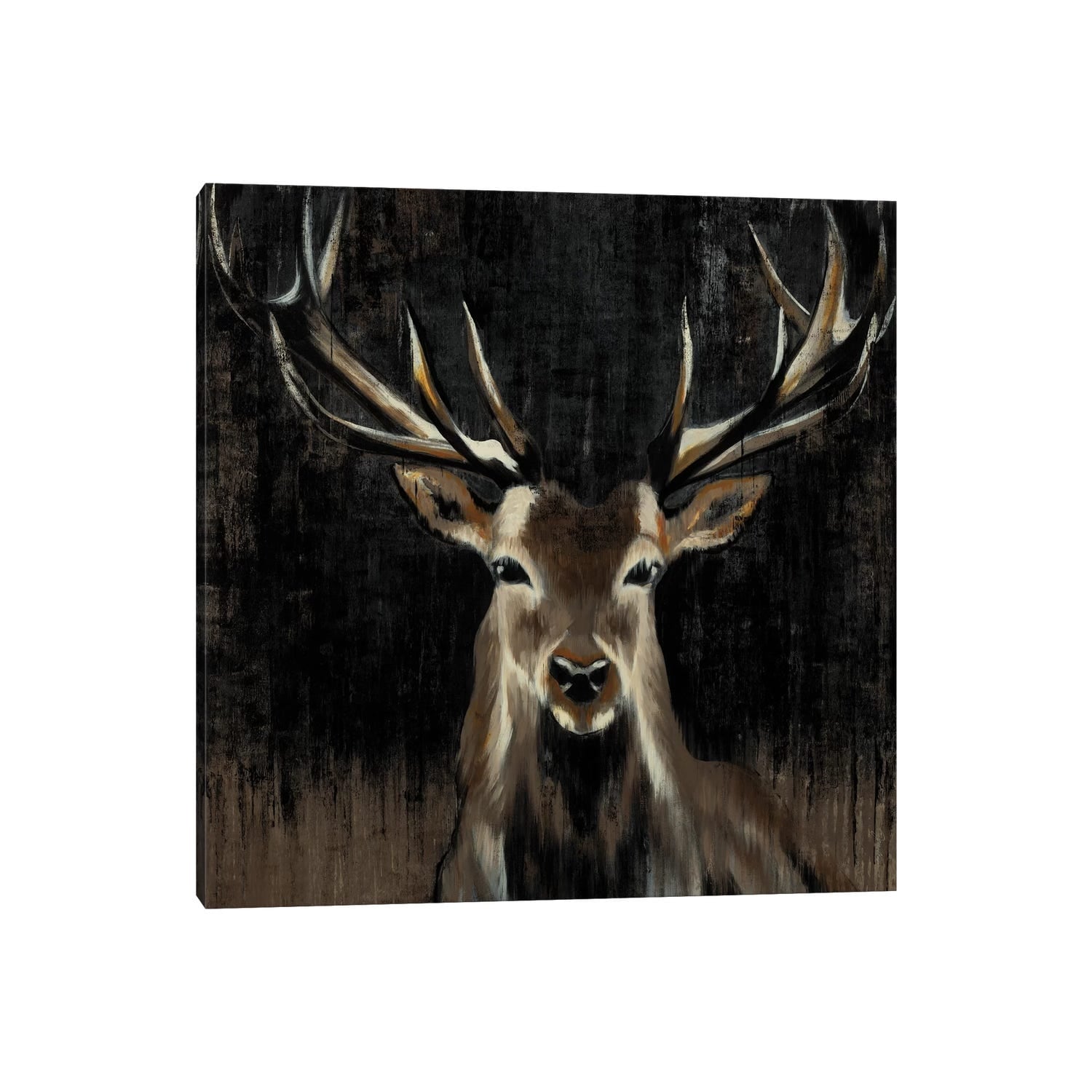 Icanvas Young Buck By Liz Jardine