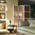 Ida Screen